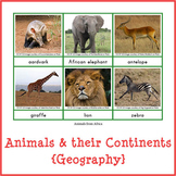 Montessori Animals and their Continents {Geography}