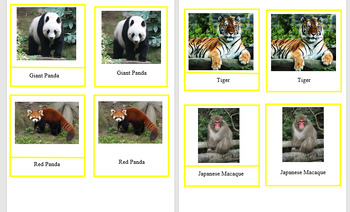Preview of Montessori Asia animal nomenclature cards
