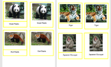 Montessori Asia animal nomenclature cards