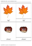Montessori Autumn 3-Part Cards 1