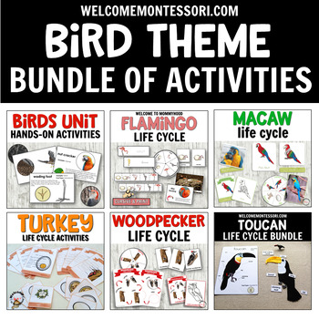 Preview of Montessori Bird Life Cycle Bundle for Zoology or Preschool Science Centers