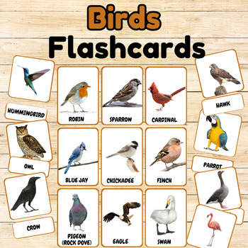 Preview of Montessori Birds Flashcards: Discover the Avian World