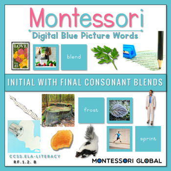 Preview of Montessori Blue Picture Word Cards | Boom Card | Initial + Final Consonant Blend