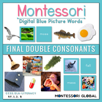 Preview of Montessori | Blue Picture Word Cards | Boom Cards | Final Double Consonants