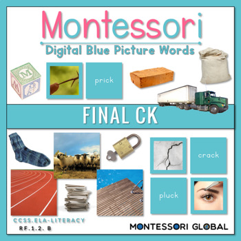 Preview of Montessori | Blue Picture Word Cards | Boom Cards | Final "ck"