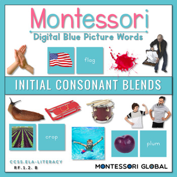 Preview of Montessori | Blue Picture Word Cards | Boom Cards™ | Initial Consonant Blends