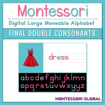 Preview of Montessori Blue Reading Series | Moveable Alphabet | Final Double Consonants