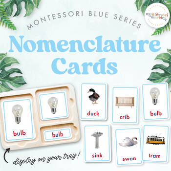 Preview of Montessori Blue Series | Montessori Nomenclature Cards | Consonant Blends