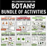 Montessori Botany Activities for Preschool Plants Theme an