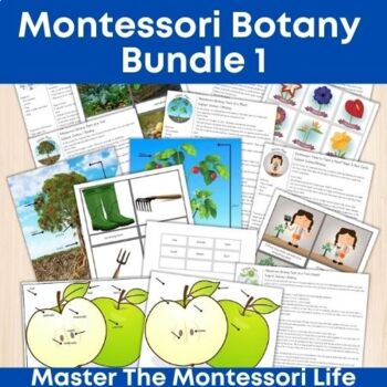 Preview of Montessori Botany Bundle 1 (40 pages)