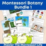 Montessori Botany Bundle 1 (40 pages)
