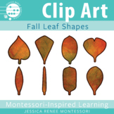 Montessori Botany Fall Leaves Clip Art, Autumn Seasons Wor