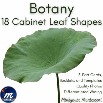 Preview of Montessori Botany Leaf Cabinet 3-Part Photo Cards Booklets and Templates