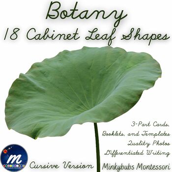 Preview of Montessori Botany Leaf Cabinet 3-Part Photo Cards Booklets and Templates CURSIVE