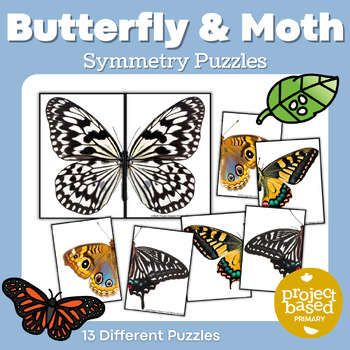 Preview of Butterfly and Moth Symmetry Puzzles