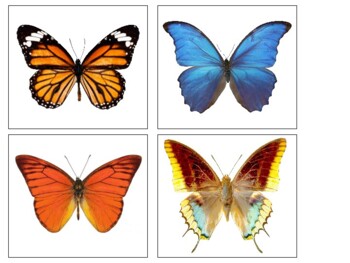 Preview of Montessori Butterfly Puzzles