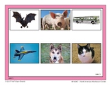 Montessori CVC Pink Picture Sheets - picture cards and CVC