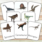 Montessori Carnivorous Dinosaurs 3 Part Cards