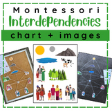 Montessori Chart of Interdependencies + Images