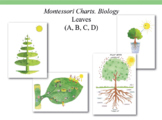 Montessori Charts. Biology. Leaves