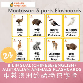 Montessori Chinese/English Australian Animals Flashcards(Simplified  Chinese/PY)