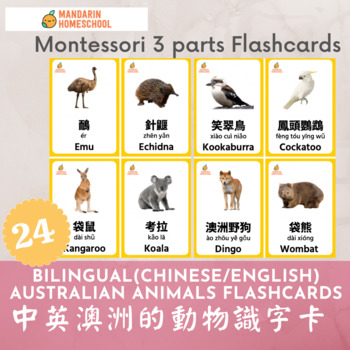Tilskyndelse Bliv ved salon Montessori Chinese/English Australian Animals Flashcards(Traditional  Chinese/PY)