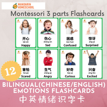 Preview of Montessori Chinese/English Emotions Flashcards (Simplified Chinese/pinyin)