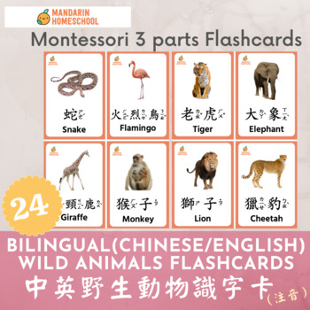 Montessori Chinese/English Wild Animals Flashcards (Traditional  Chinese/Zhuyin)