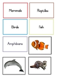 Montessori Chordata Picture Sorting cards