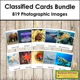 Montessori Classified Cards Bundle - Vocabulary - ESL