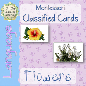 Classifying Flowers Worksheets Teaching Resources Tpt