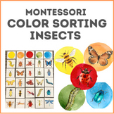 Montessori Color Sorting Insects