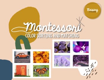 Preview of Montessori Color Sorting & Matching