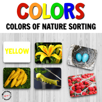 Preview of Montessori Colors of Nature Sorting Cards for Hands-on Learning