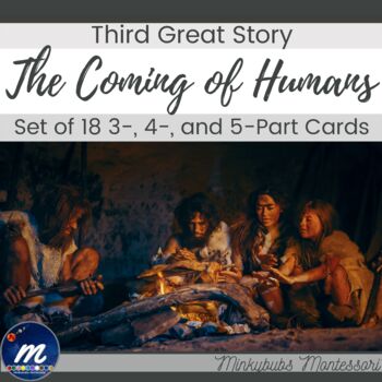 Preview of Montessori Coming of Humans Third Great Lesson Set of 18 3 4 and 5 Part Cards