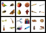 Montessori COMPARISON CARDS - Compare, Contrast, Like, Dif
