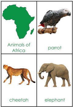 Montessori Animals 