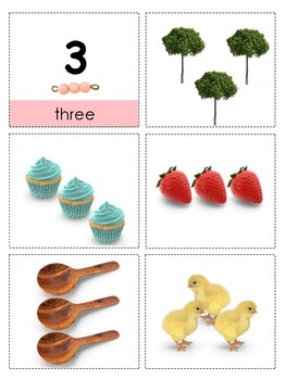 Preview of Montessori Counting Work--Preschool Math