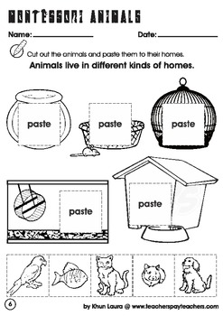 montessori cultural area zoology worksheets for