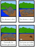 Montessori Dinosaur Fossil Sequence Cards