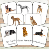 Montessori Dog Breeds Toob 3 Part Cards
