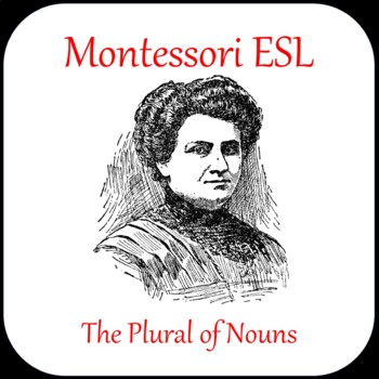 Preview of Montessori EFL/ESL - plural of nouns (letter)