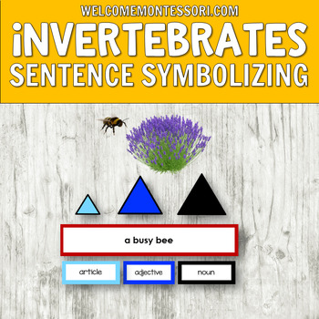 Preview of Montessori Elementary Grammar: Invertebrates Theme Sentence Symbolizing