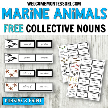 Preview of Montessori Elementary Grammar: Marine Animal Collective Nouns