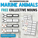 Montessori Elementary Grammar: Marine Animal Collective Nouns