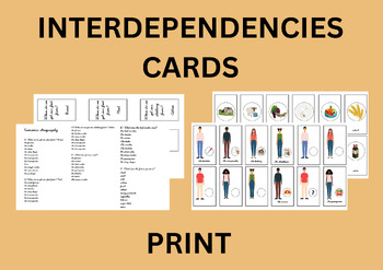 Preview of Montessori Elementary Interdependencies Cards - Print