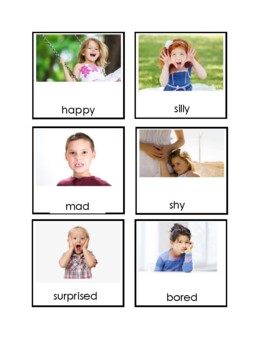 Preview of Montessori Emotion Picture Cards