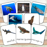 Montessori Endangered Marine Species Toob  3 Part Cards (e