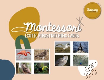 Preview of Montessori Exotic Birds Matching (Safari Ltd compatible)