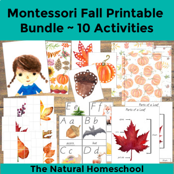 Preview of Montessori Fall Printable Bundle ~ 10 Activities